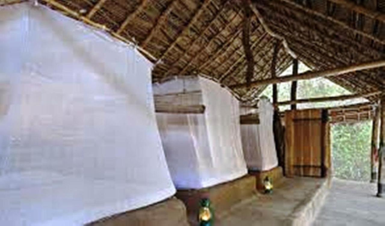 กรีนวูด อุทาวาลาวา ซษฟารี รีสอร์ต Hotel อุดาวาลาเว ภายนอก รูปภาพ