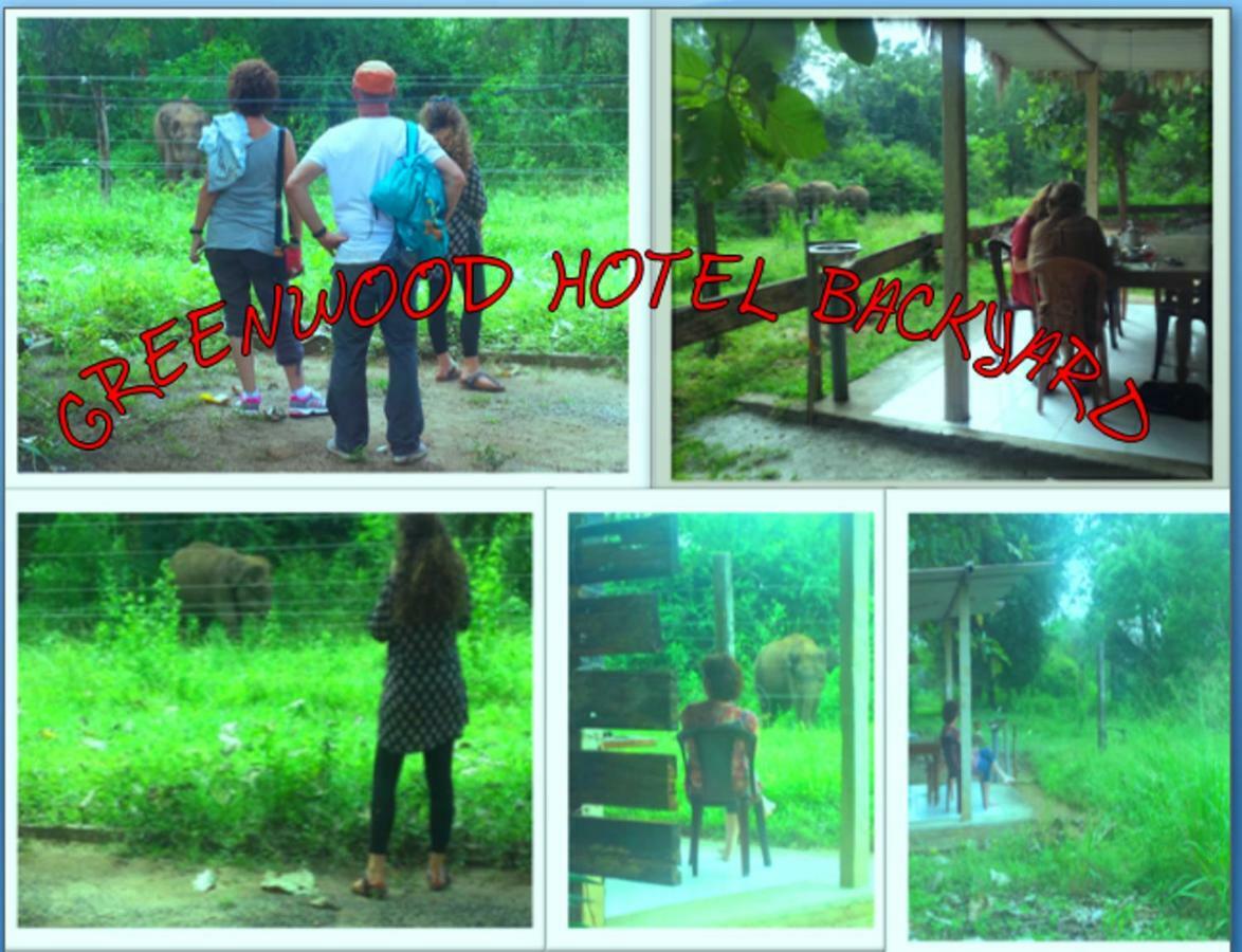 กรีนวูด อุทาวาลาวา ซษฟารี รีสอร์ต Hotel อุดาวาลาเว ภายนอก รูปภาพ